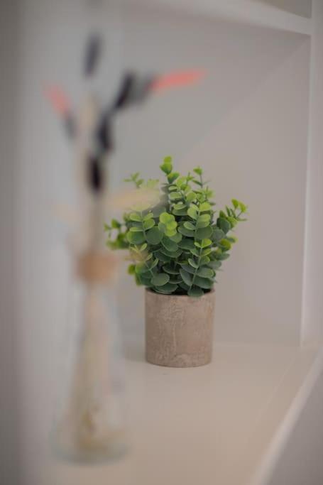 Perfect Location 4Bed 2 Bath Spacious Apartment 런던 외부 사진